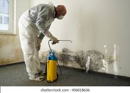 Best Mold Prevention Services  in Craigsville, WV